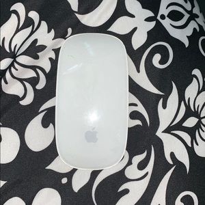 Apple Computer Mouse